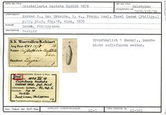 Karteikarte zum Holotyp von Cristellaria hastata Karrer, 1878